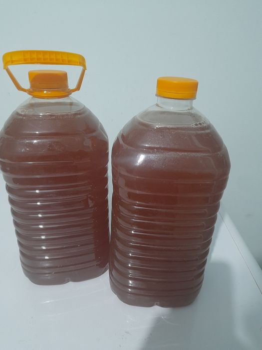 Продам Мёд из ВКО Алтай