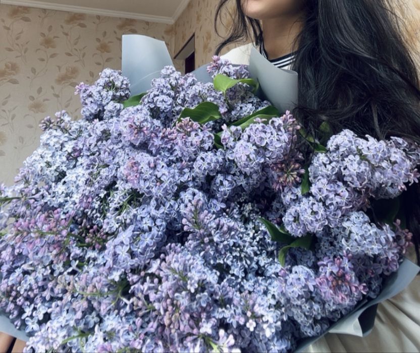 Апрельская сирень