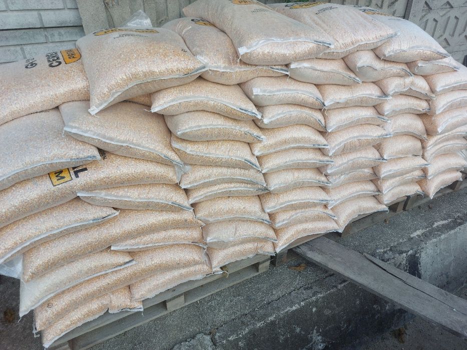 Porumb și Grâu boabe