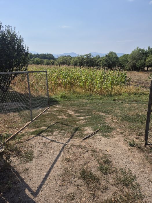 Vând teren intravilan în satul tustea jud HUNEDOARA