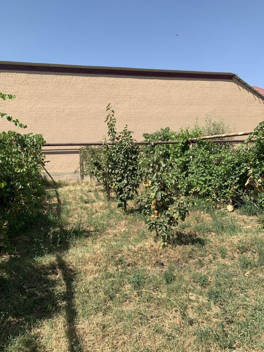 Земельный участок на локаторе