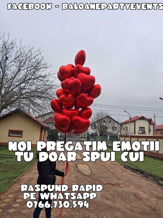 Arcada baloane aniversare/zi nastere Aranjamente baloane petrecere