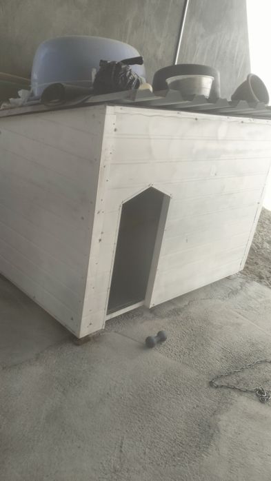 Продается дом для сабаку