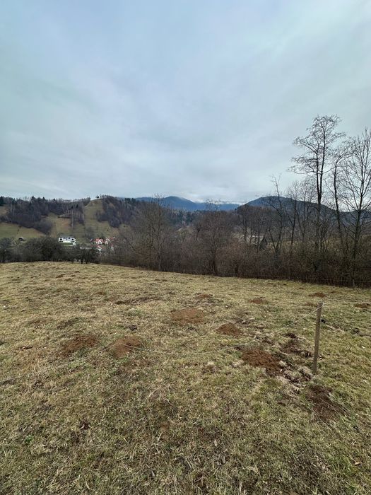 Teren de vanzare Bran 11150