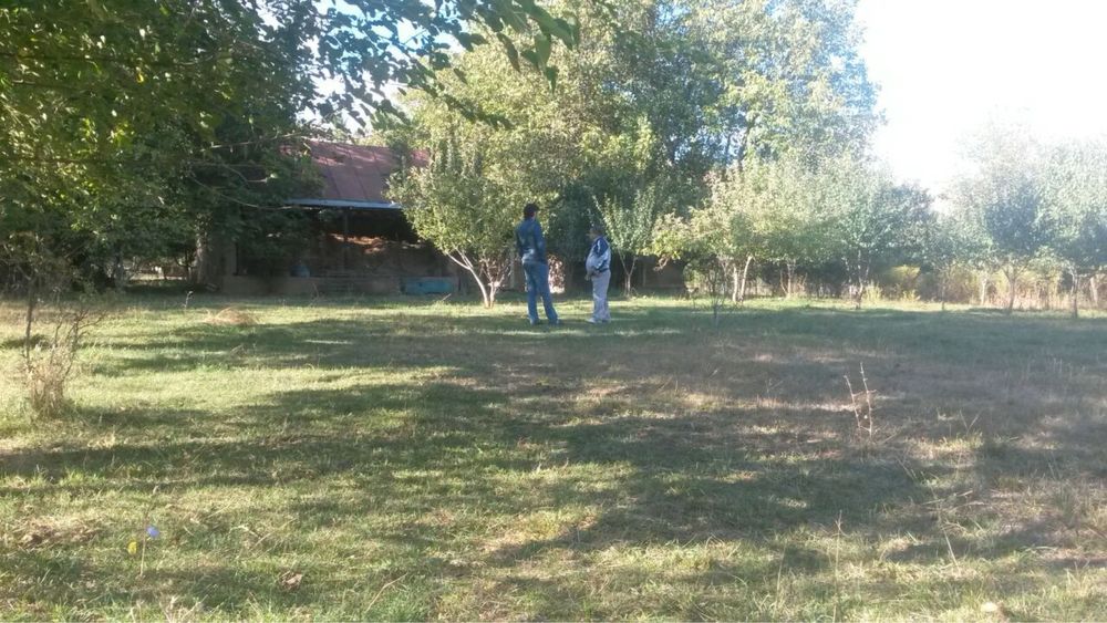 Сижжак наволисой 7 сотх