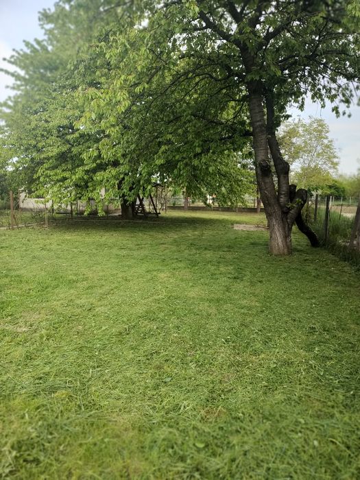 Casă de vacanță Satu Mare