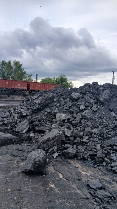 Уголь Каражира Крупный. Калиброванный, Сортовой