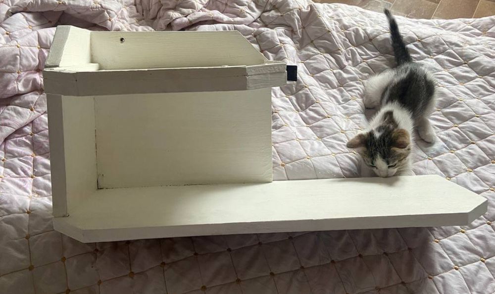 Навесная полка с 2 уровнями