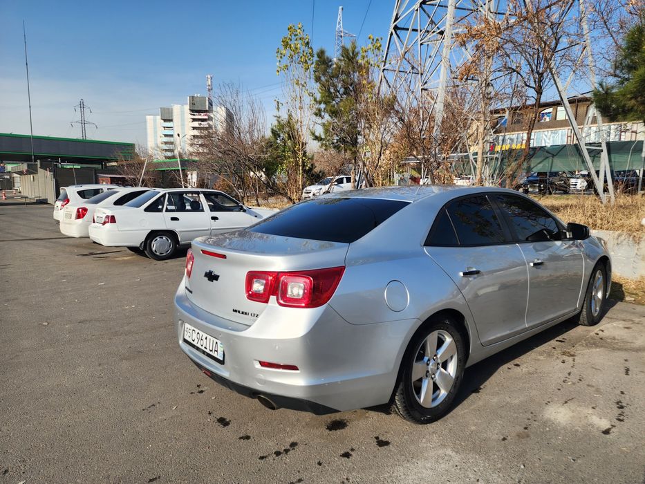 Malibu 1,  2014 avtamat