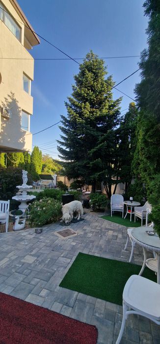 Imobil de vanzare Mazepa 2 Galati