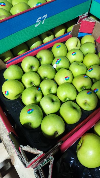 Яблоко зелёное Азербайджан