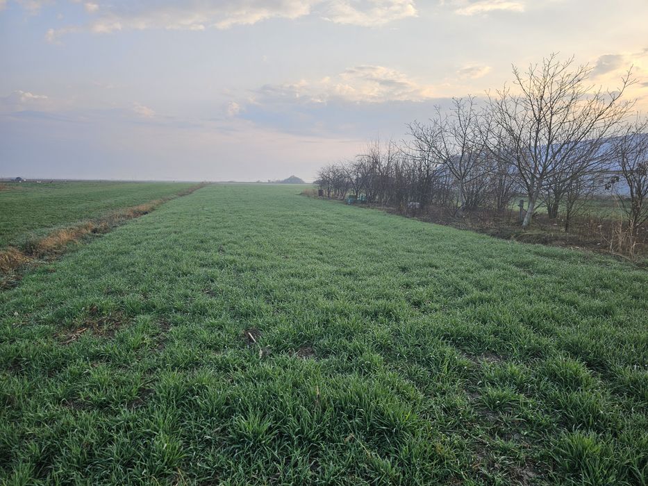 TEREN Intravilan ,de vanzare