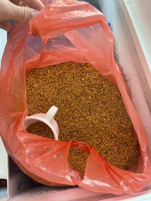 Polen direct din stup