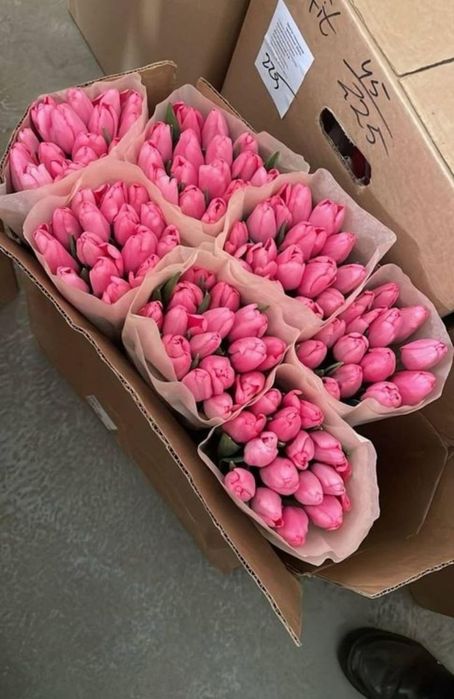 Луковицы тюльпаны оптом акция