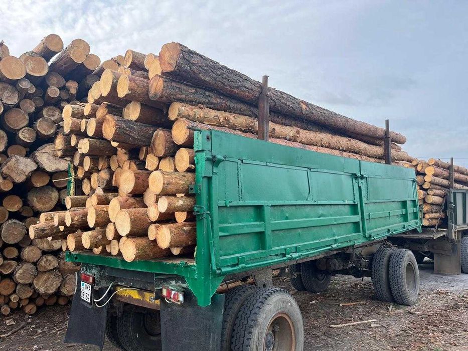 Деревянные опоры для ЛЭП и пиломатериалы