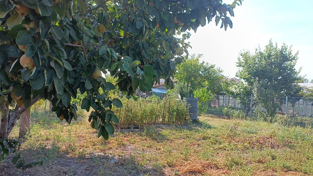 De vanzare casa in localitatea Covaci - Jud. Timis