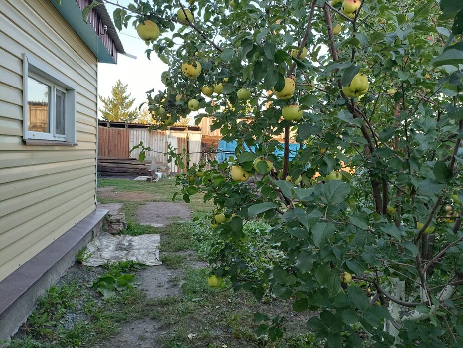 Продам или обменяю