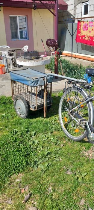 Carut de bicicleta
