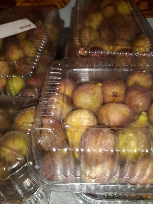 Stoloni Căpşuni REMONTANT butasi Mur Thornfree Zmeur agris
