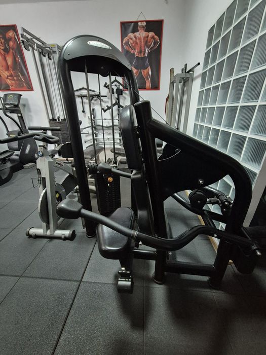 Presă triceps Matrix Aura !!!