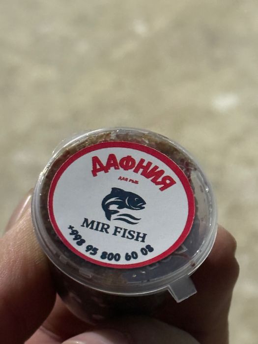 Дафния для рыб заморожен