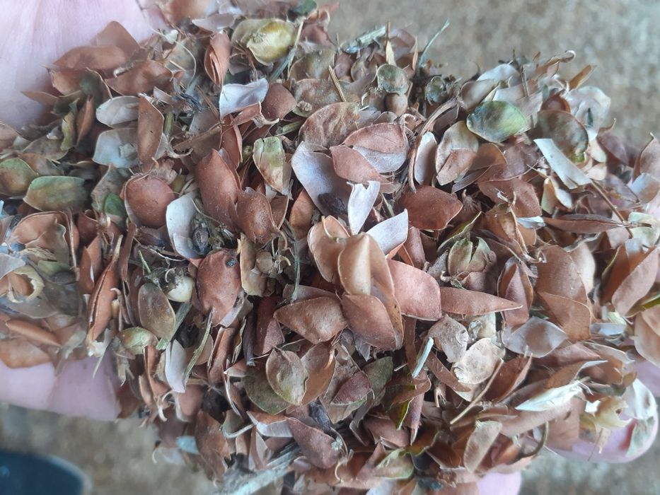 Отходы Отходы  в перемешку для крс мрс лошадей