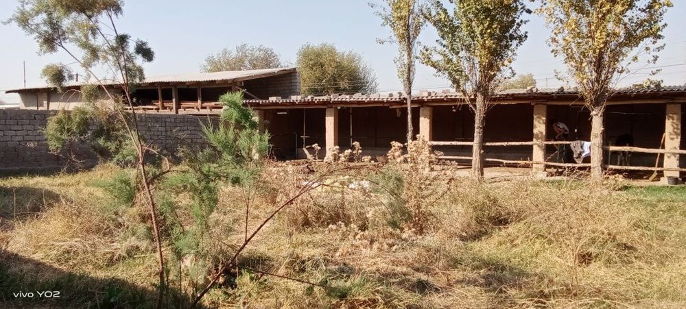 SROCHNO yer sotiladi 6 sotix