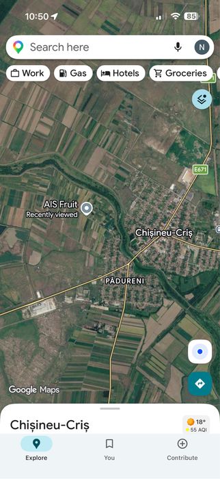 Livada - Ferma in Chisineu-Cris