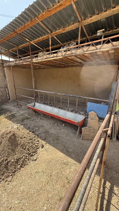 Кормушка для баранов