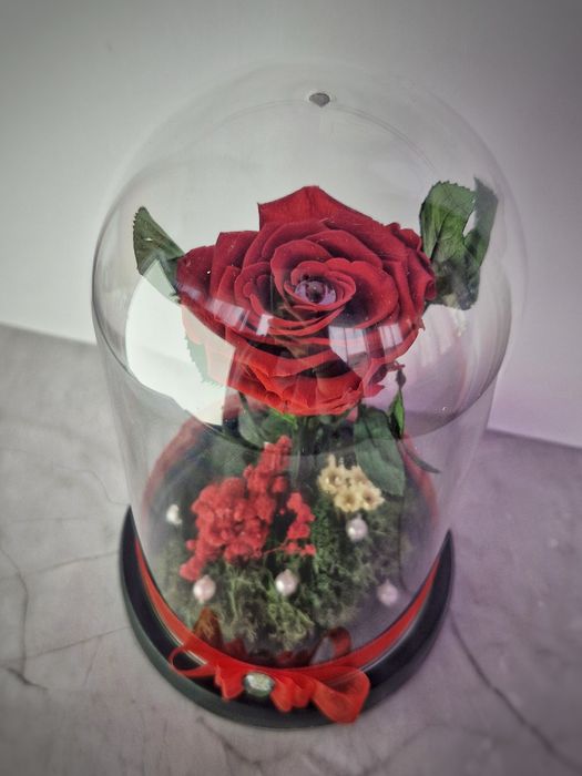 Buchet trandafiri de săpun /ziua îndrăgostiților/trandafiri Criogenați