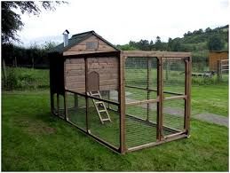 мини курятники с поддоном