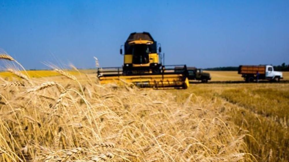 Продам земелный участок 500 гектар