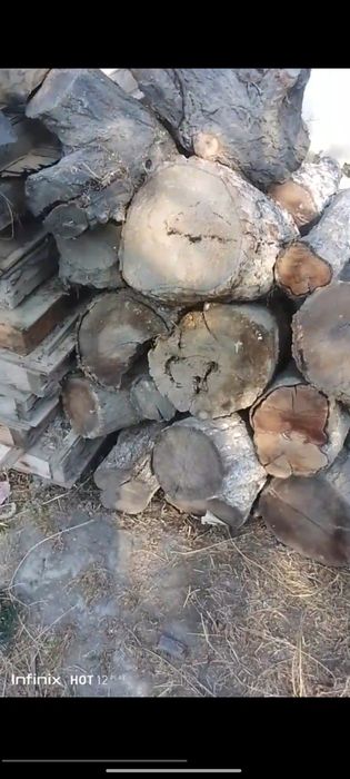 Ŏtin sotiladi zaldori