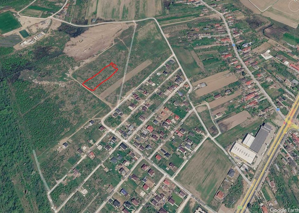 Teren Ciolpani intravilan - Ilfov 2467 mp -  langa padure, acces DN1, utilitati in cartier