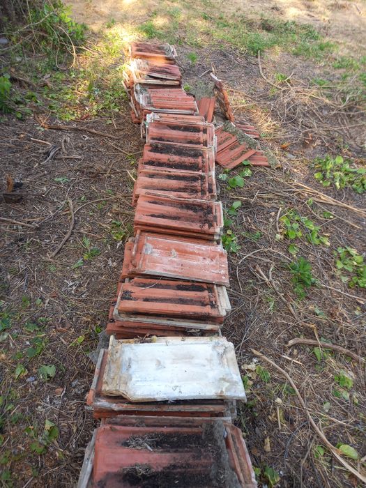 продавам 350 бр. kеремиди български употребявани-0,30ст бройката