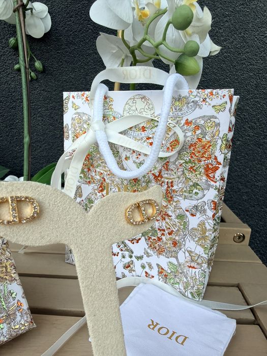 Cercei Dior cristale