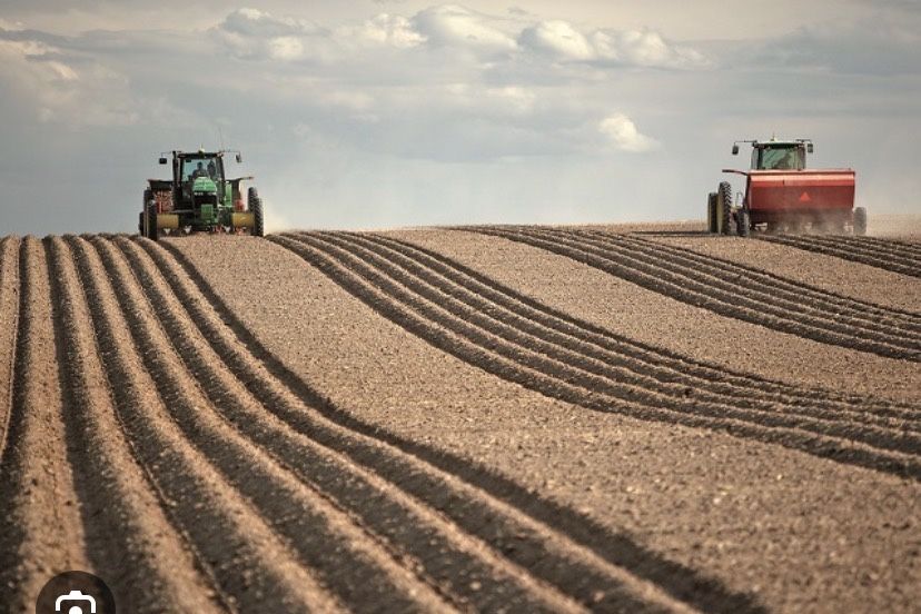 TEREN AGRICOL comasat,  235 ari, Salcea