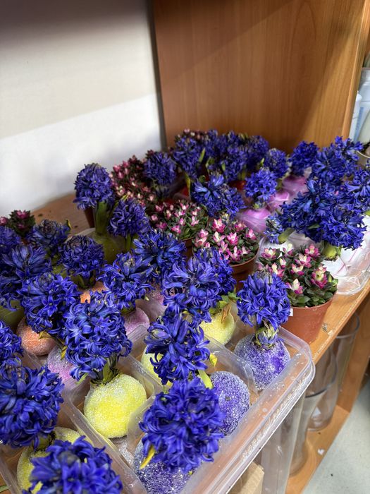 Дешевые цветы к 8 Марта