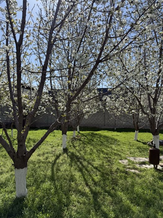 Под строительсто Котеджей отличный вариант