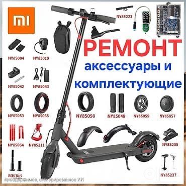 Ремонт любового цим транспорта