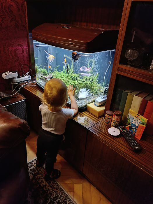 Аквариум 80 литра