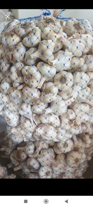 Продавам български чесън