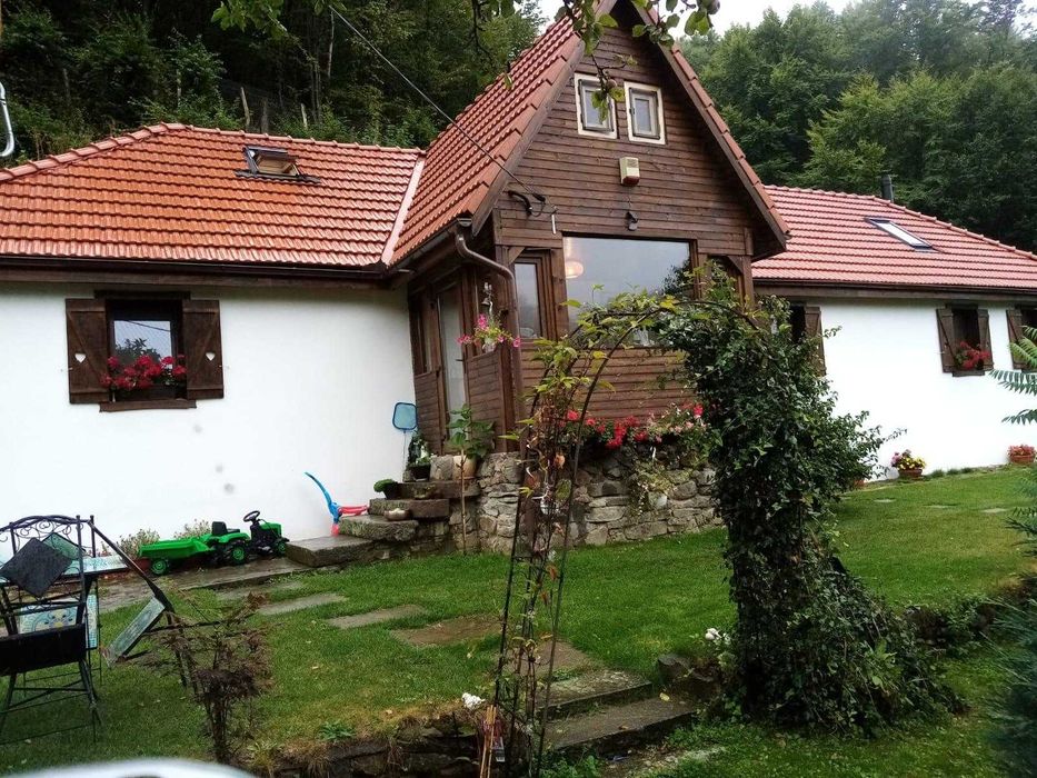 Casa de vanzare P+M  - Sacaramb
