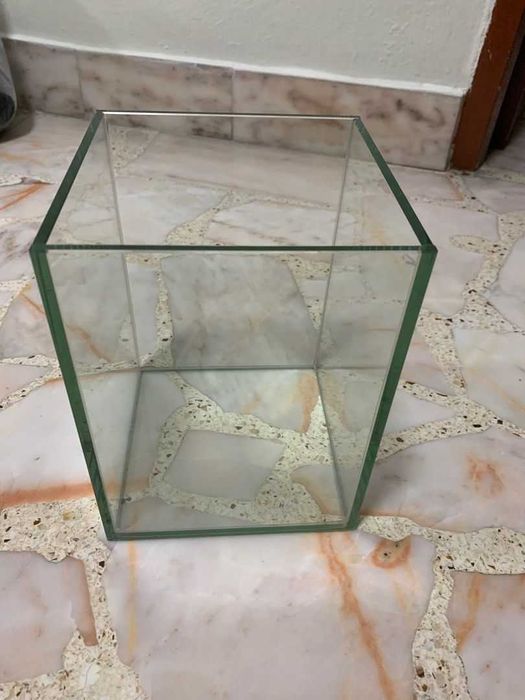 ACVARII  la comandă la cele mai  bune prețuri ! Comanda acum !