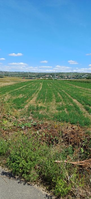 Vând 8 parcele -zona Șelimbăr