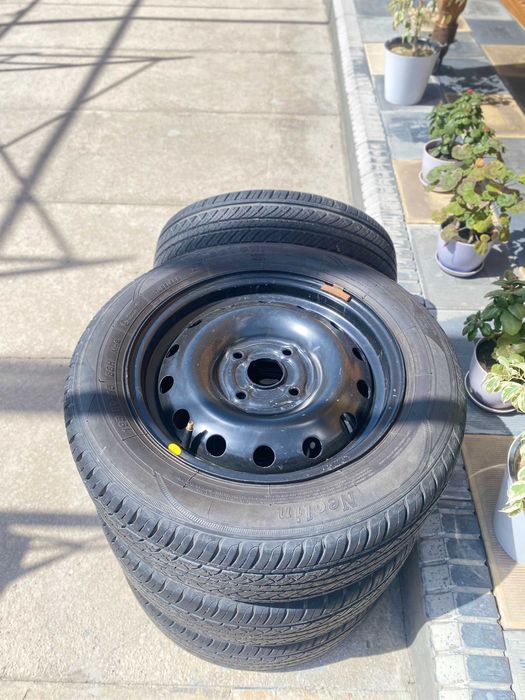 NeoLine - NeoTour avtobalonlari