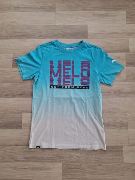 Tricou Puma Lamelo Degradee marimea s