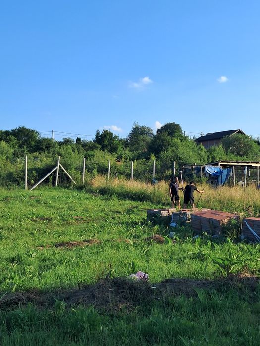 Vând teren intravilan DAIA NOUA 500 M2