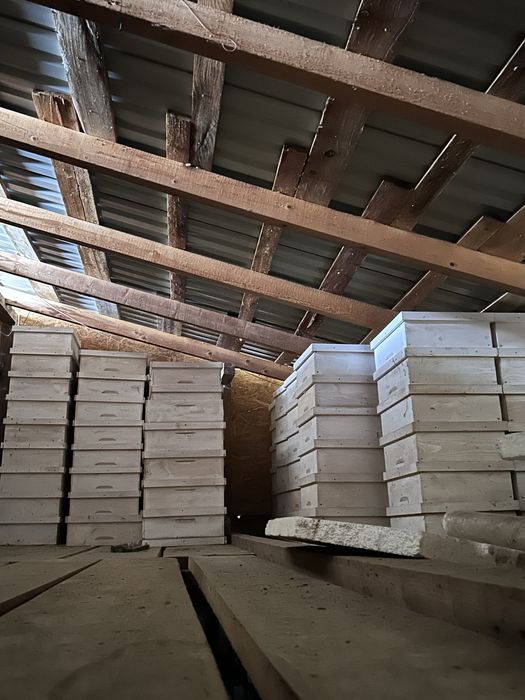 Lazi stupi si rame de cuib sau magazie