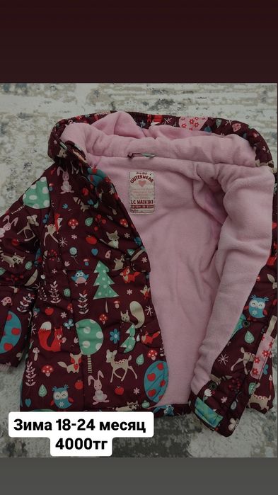 Детский куртка осень